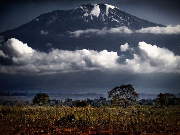 Magnificent Kilimanjaro